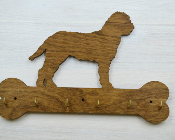 lagotto ramagnolo